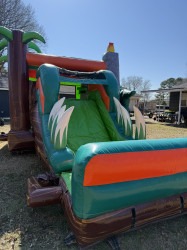 IMG 8733 1770077013 Dino Combo