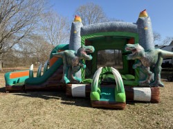 IMG 8736 1770077012 Dino Combo